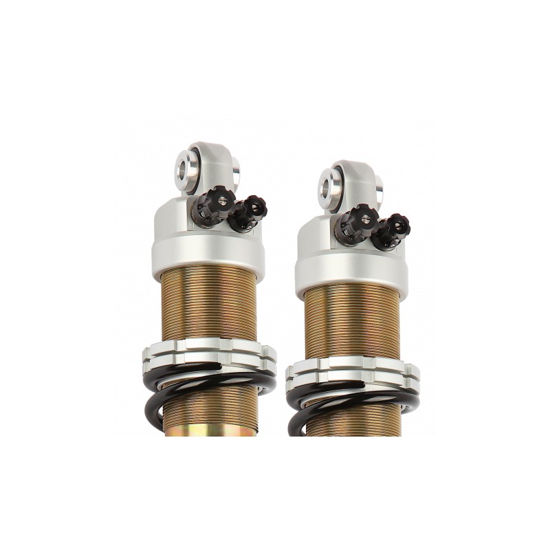 Twin Roadster 2 (pair) shock absorber