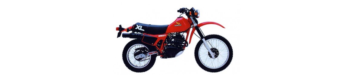 250 XL R (1982)
