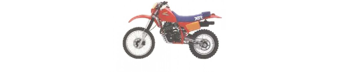 500 XR RFVC (1983)