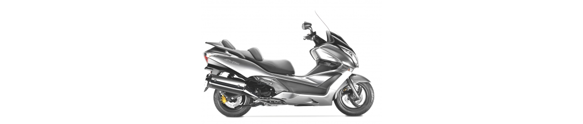 600 SW-T ABS Silver Wing (2011-2016)