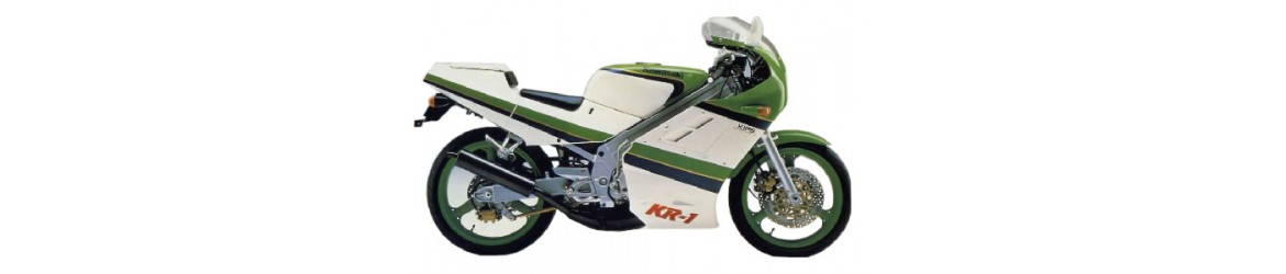 250 KR1 (1989-1990)