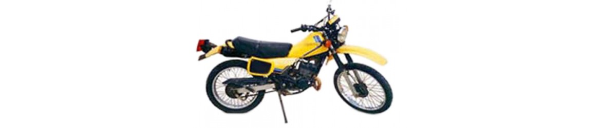  100 TS ERZ (1989-1990)