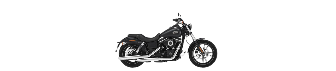 1690 Dyna Street Bob serie Special FXDBA (2013)