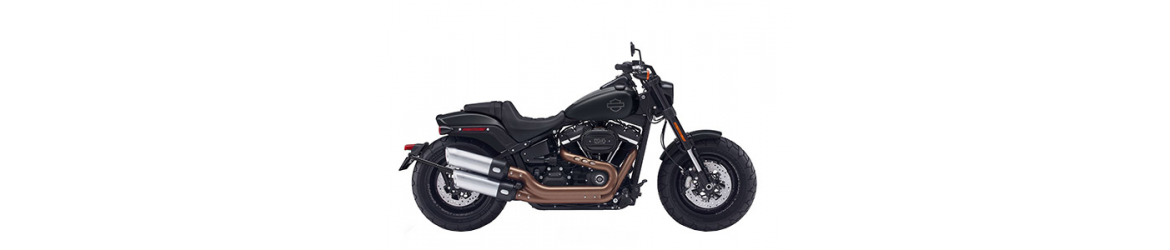 1867 Fat Bob Softail FXFBS (114 cubic inches) (2018-2021)