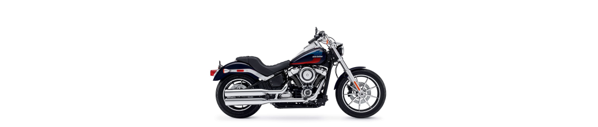 1750 Softail Low Rider FXLR (107 cubic inches) (2018-2020)