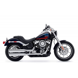1750 Softail Low Rider FXLR (107 cubic inches) (2018-2020)