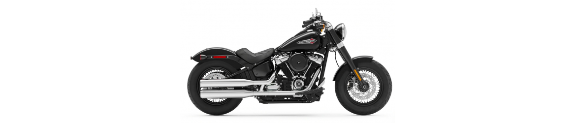 1750 Softail Slim FLSL (107 cubic inches) (2018-2020)