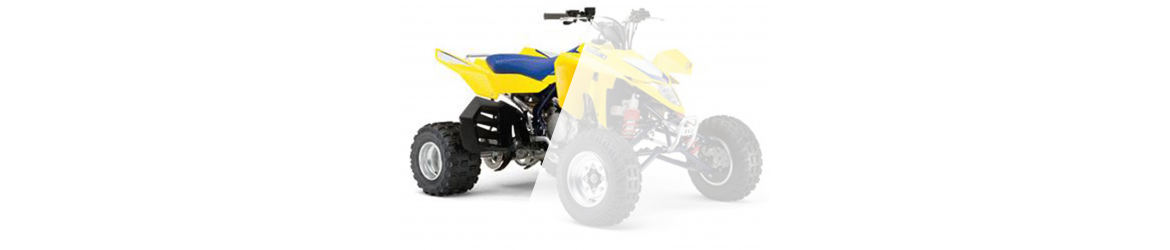 450 LTR QUADRACER ARRIERE