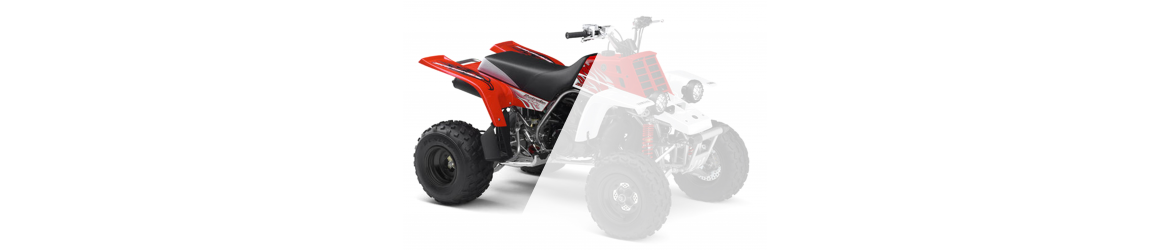 350 YFZ BANSHEE ARRIERE