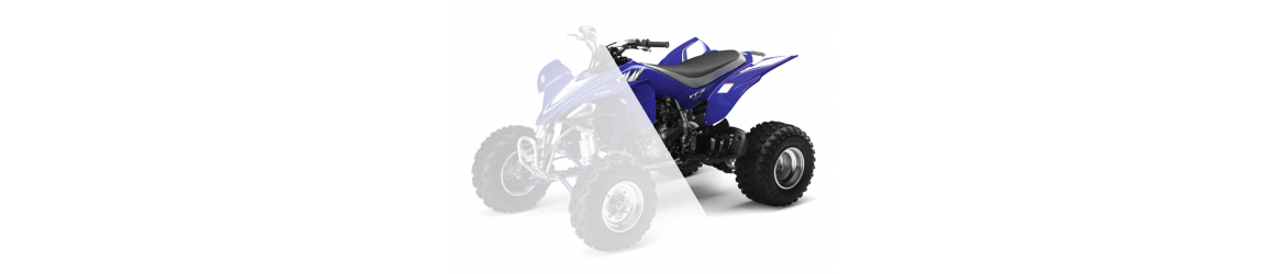 450 YFZ REAR