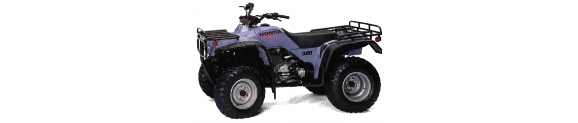 300 TRX FW 4x4 (1995-2000)