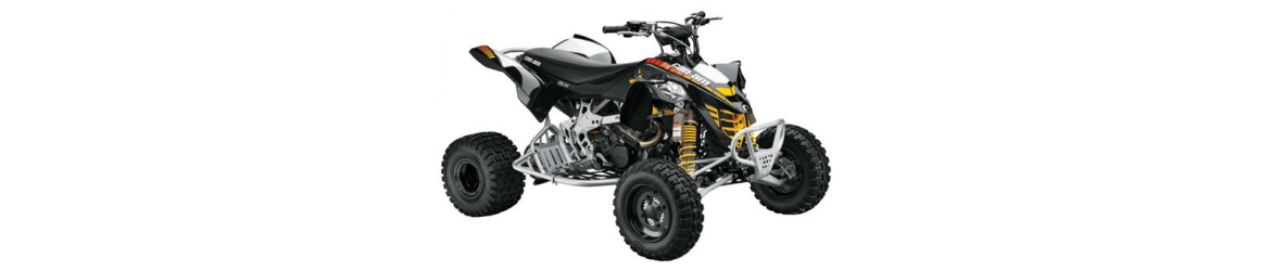 450 DS-X 2009