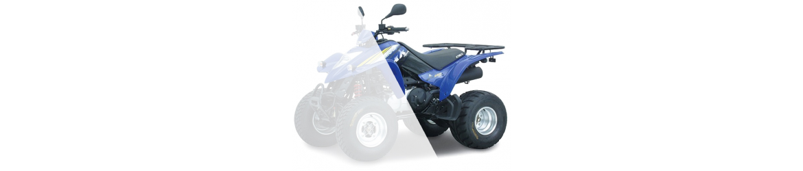 250 KXR / MAXXER ARRIERE