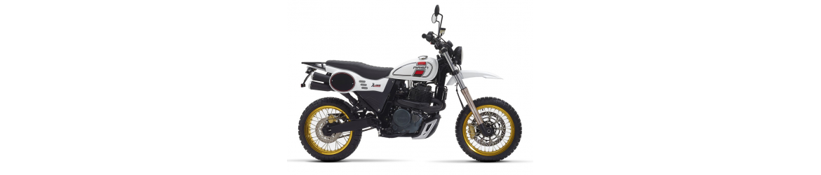 650 X-Ride Classic (2020-2021)