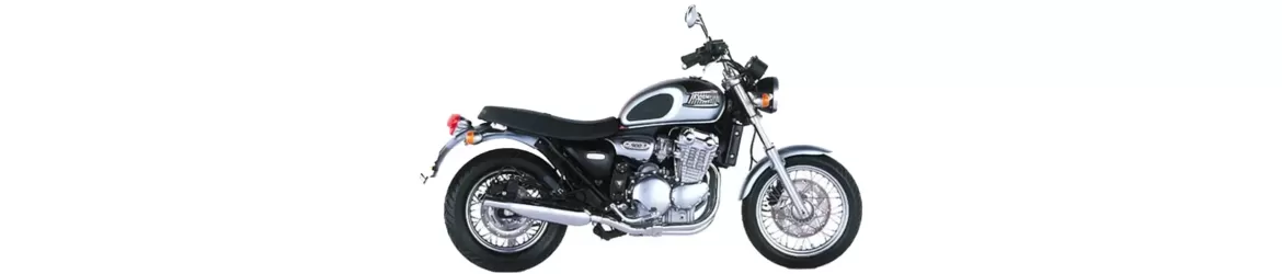 900 Thunderbird T339 (1995-2003)