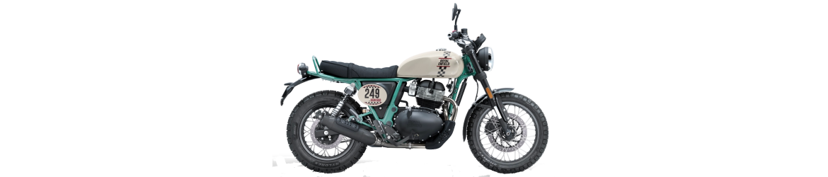 650 Bear (2025)