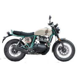 650 Bear (2025)