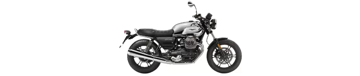 750 V7 III Carbon Shine (2018-2019)