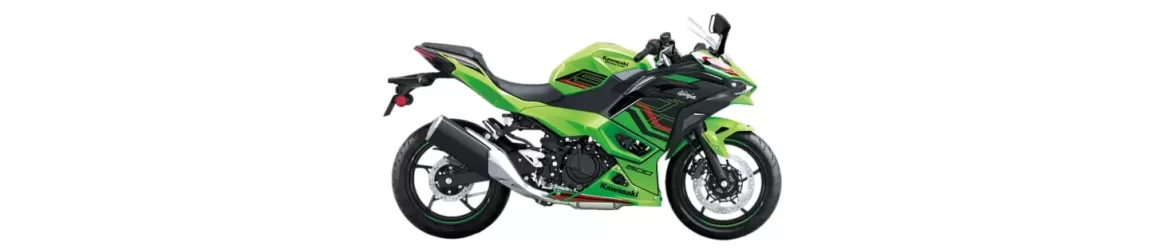 500 Ninja (2024-2025)