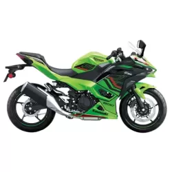 500 Ninja (2024-2025)