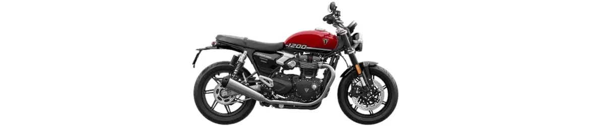 1200 Speed Twin (2025)